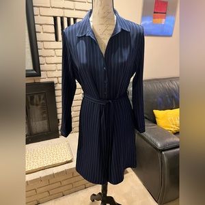 Banana Republic pinstripe belted dress.